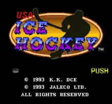 Image n° 1 - screenshots  : USA Ice Hockey